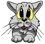 chaton tro gnon